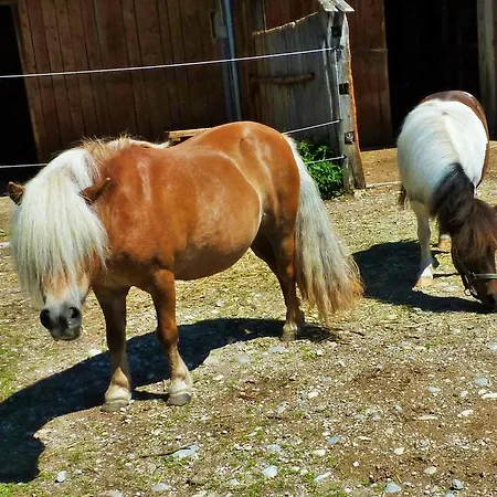 Chalet Lodge Bled Bled