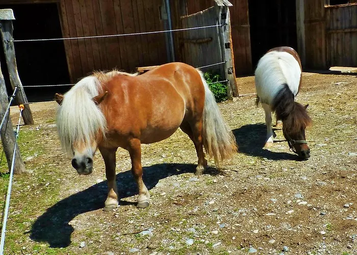 Chalet Lodge Bled Bled